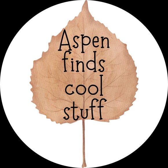 aspenscoolstuff